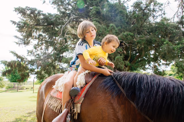 Dos chicos compartiendo un caballo
