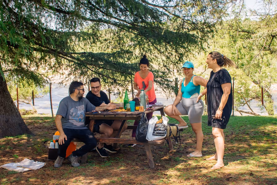 Un grupo de adultos alrededor de una mesa de picnic, bajo un cedro